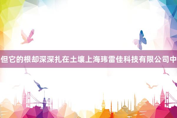 但它的根却深深扎在土壤上海玮雷佳科技有限公司中