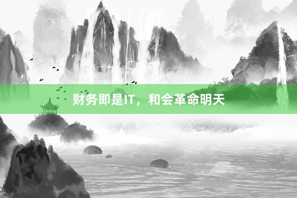 财务即是IT，和会革命明天